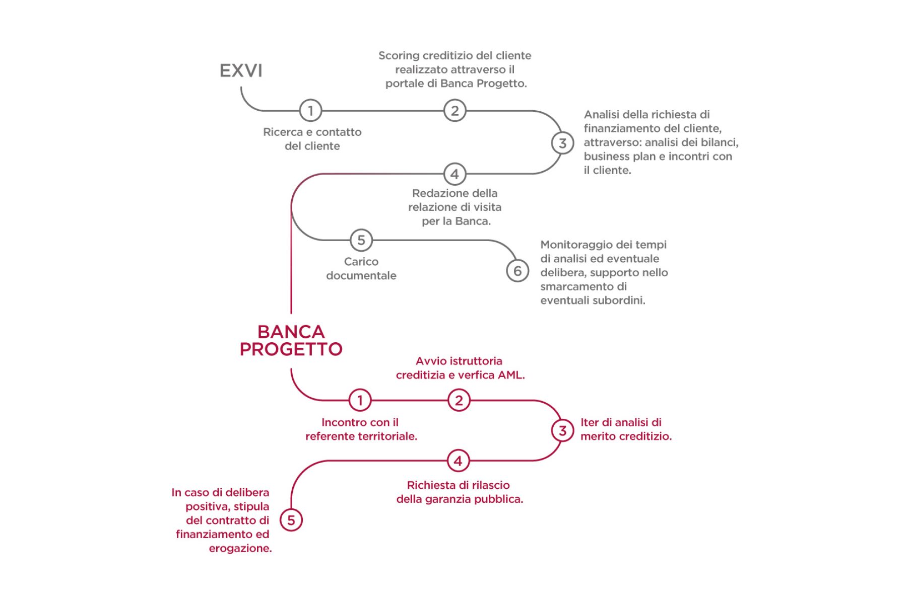 EXVI-Infografica